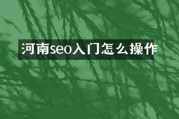 河南seo入门怎么操作