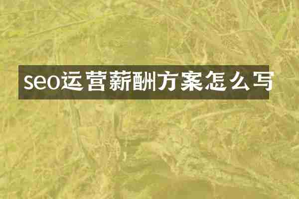 seo运营薪酬方案怎么写