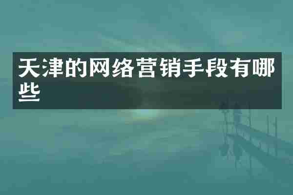天津的网络营销手段有哪些