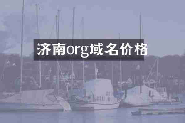 济南org域名价格