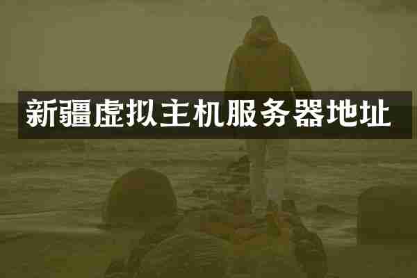 新疆虚拟主机服务器地址