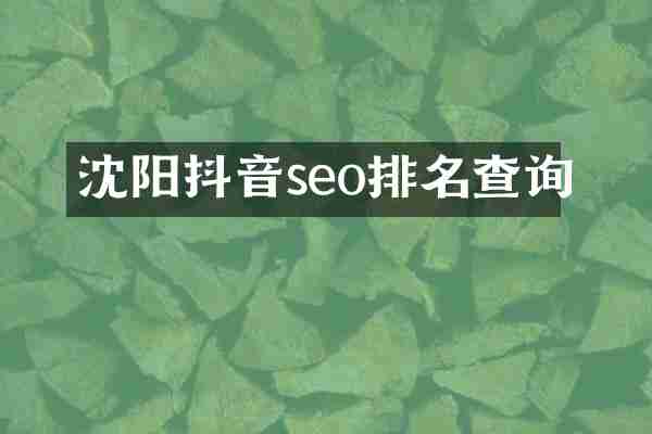 沈阳抖音seo排名查询