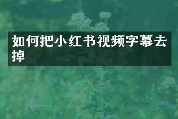 如何把小红书视频字幕去掉