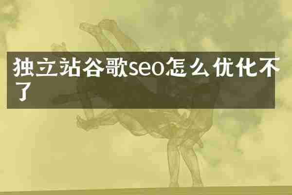 独立站谷歌seo怎么优化不了