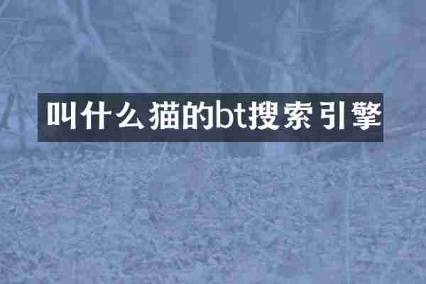 叫什么猫的bt搜索引擎