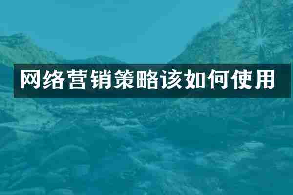 网络营销策略该如何使用