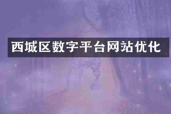 西城区数字平台网站优化