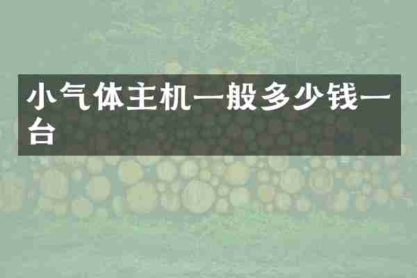 小气体主机一般多少钱一台