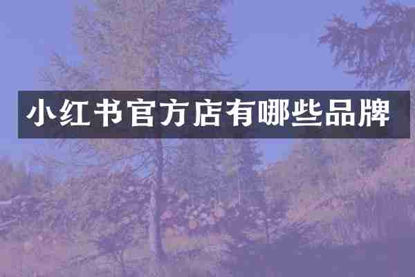 小红书官方店有哪些品牌
