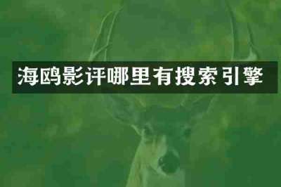 海鸥影评哪里有搜索引擎