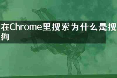 在Chrome里搜索为什么是搜狗