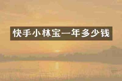 快手小林宝一年多少钱