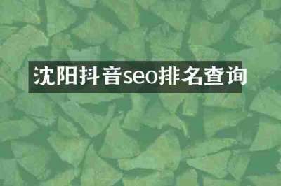 沈阳抖音seo排名查询