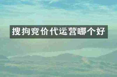 搜狗竞价代运营哪个好