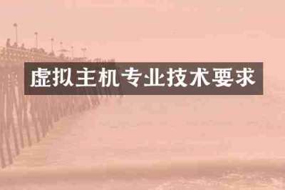 虚拟主机专业技术要求