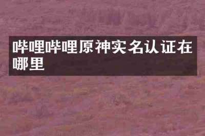 哔哩哔哩原神实名认证在哪里