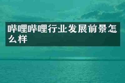 哔哩哔哩行业发展前景怎么样
