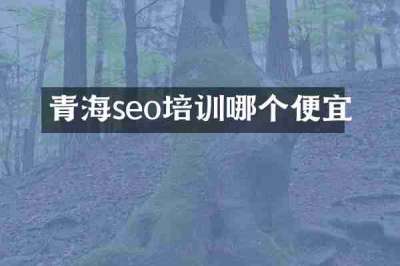 青海seo培训哪个便宜
