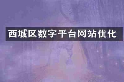 西城区数字平台网站优化