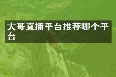 大哥直播平台推荐哪个平台