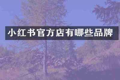 小红书官方店有哪些品牌