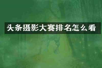 头条摄影大赛排名怎么看