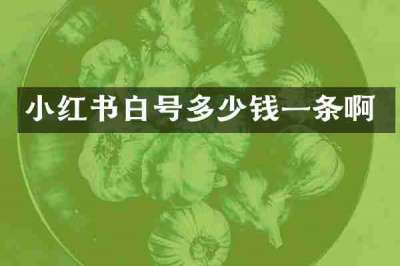 小红书白号多少钱一条啊