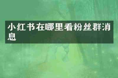 小红书在哪里看粉丝群消息