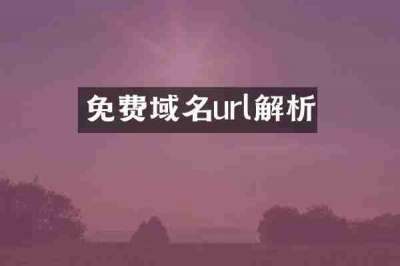 免费域名url解析