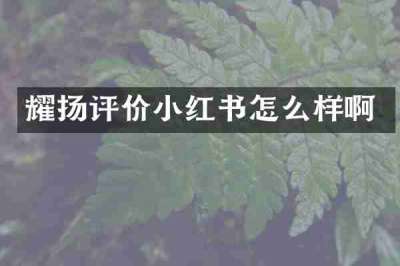耀扬评价小红书怎么样啊
