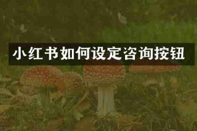 小红书如何设定咨询按钮