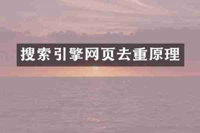 搜索引擎网页去重原理