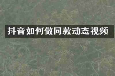 抖音如何做同款动态视频