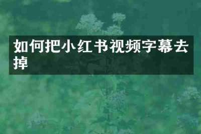 如何把小红书视频字幕去掉