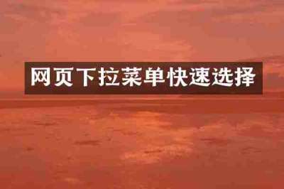网页下拉菜单快速选择