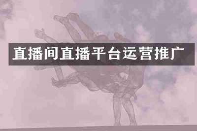 直播间直播平台运营推广