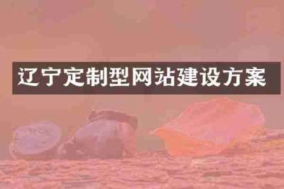 辽宁定制型网站建设方案