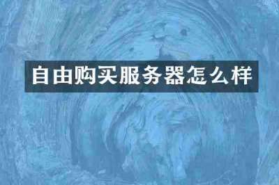 自由购买服务器怎么样
