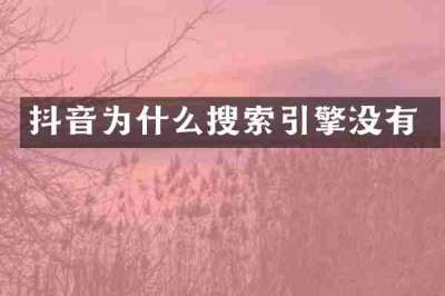 抖音为什么搜索引擎没有