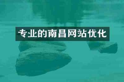 专业的南昌网站优化