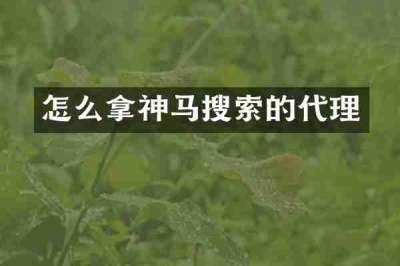 怎么拿神马搜索的代理