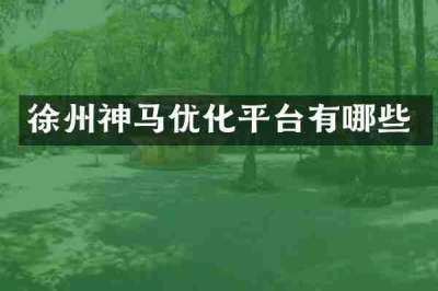 徐州神马优化平台有哪些