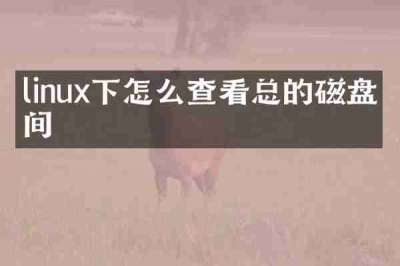 linux下怎么查看总的磁盘空间