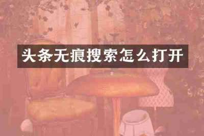 头条无痕搜索怎么打开