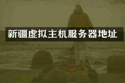 新疆虚拟主机服务器地址