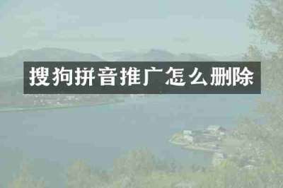 搜狗拼音推广怎么删除
