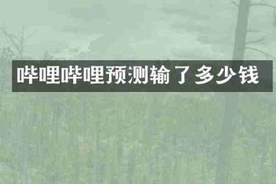 哔哩哔哩预测输了多少钱
