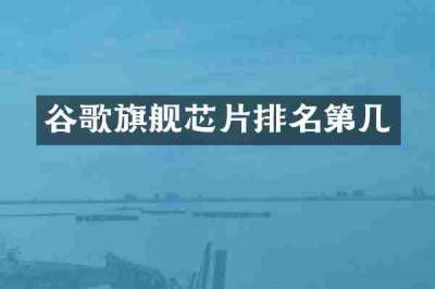 谷歌旗舰芯片排名第几
