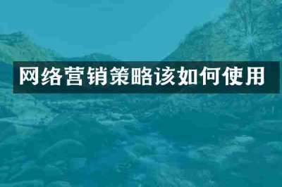 网络营销策略该如何使用