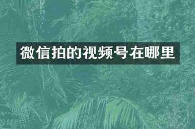 微信拍的视频号在哪里